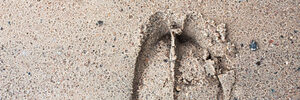 Two deer hoof prints are visible in wet sand.