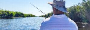 Person wearing a hat sits in a boat, fishing on a calm river surrounded by greenery under a clear blue sky.