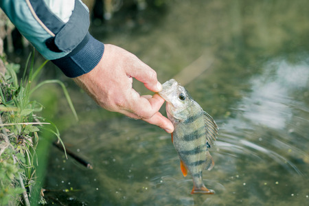 3 Advantages to Catch and Release Fishing
