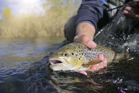 Tips for Successful Catch and Release Fishing