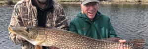 Two men standing in a boat hold a large northern pike fish with trees and water in the background.