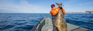 Person in orange jacket on a boat holds a large fish upright, with blue ocean and sky in the background.