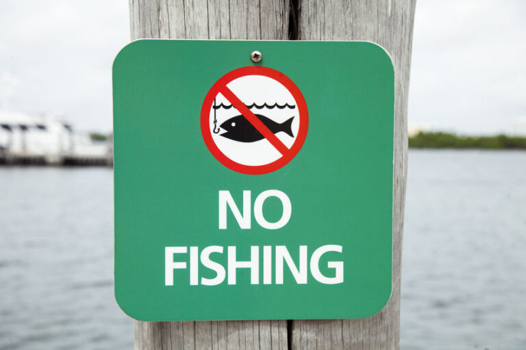 Fishing Etiquette: The Do’s & Don’ts of the Water