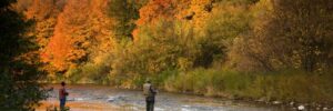 Two people fish in a shallow river surrounded by trees with vibrant autumn foliage under a partly cloudy sky.