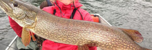 Person in a red jacket holding a large fish while standing in a small boat on a lake.